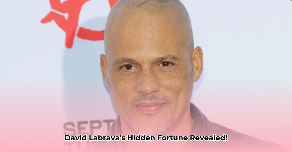 david-labrava-net-worth